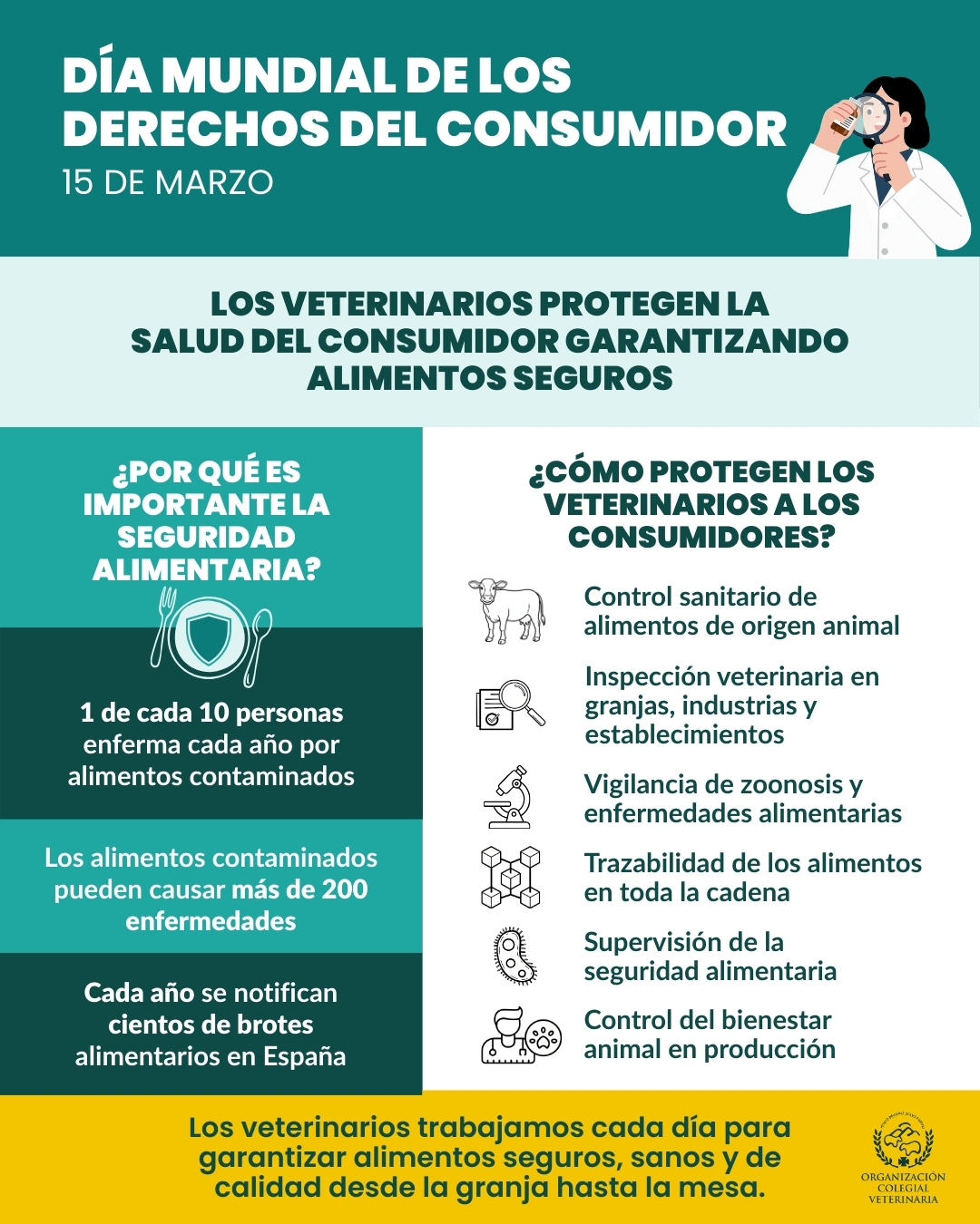 Infografía Día Mundial de los Derechos del Consumidor el 15 de marzo