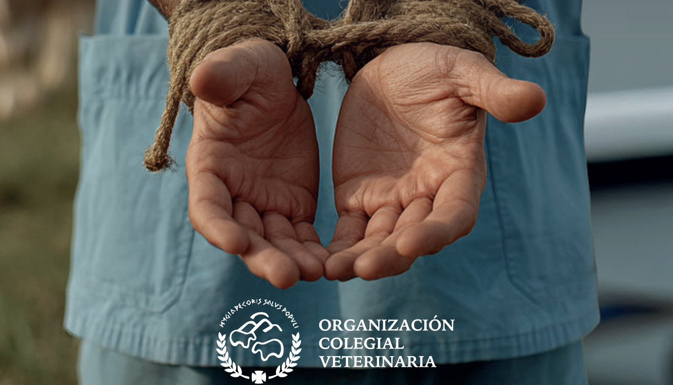 Comunicado CGCVE sobre manifestación profesión veterinaria del 18 de noviembre en Madrid