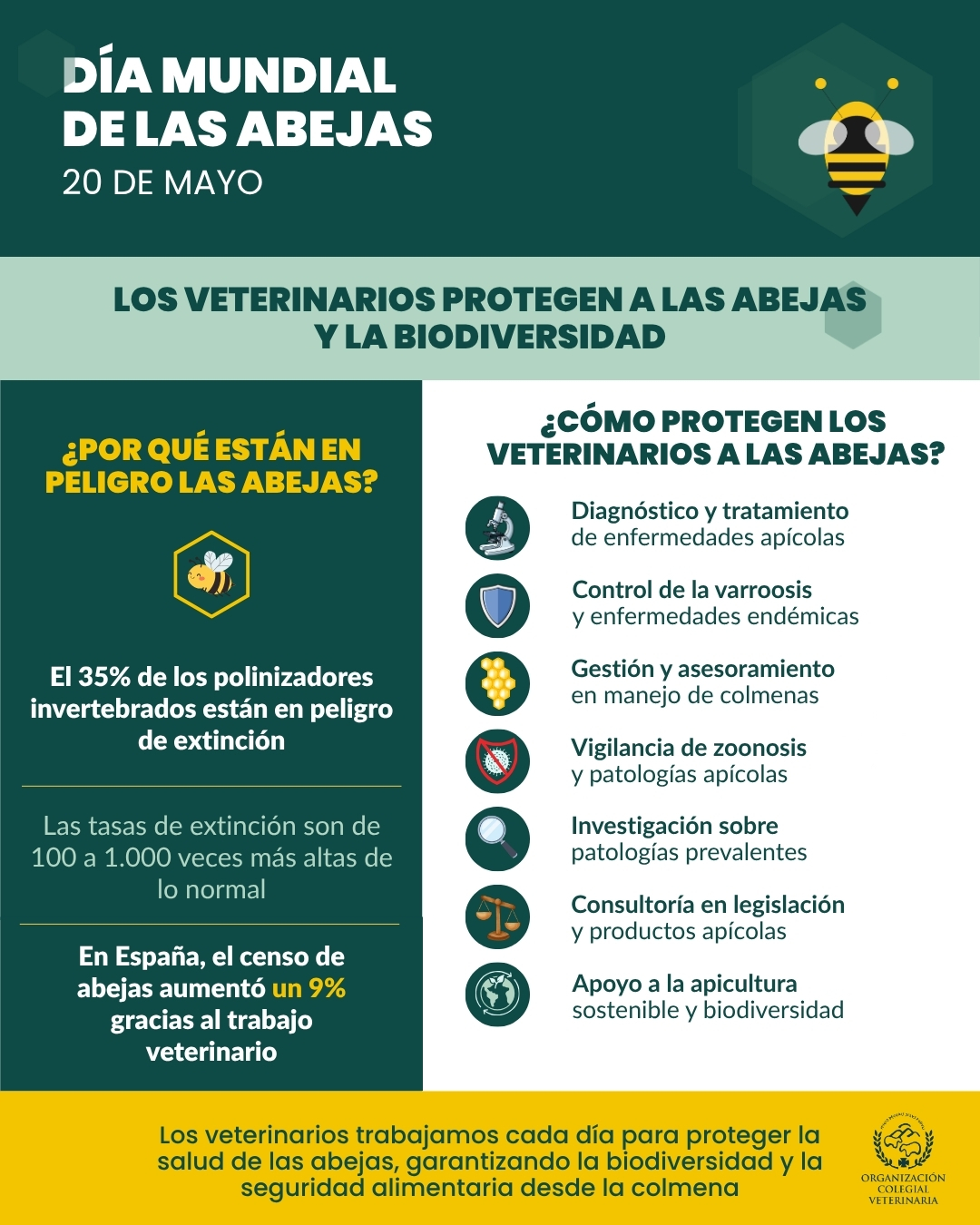 DÍA MUNDIAL DE LAS ABEJAS