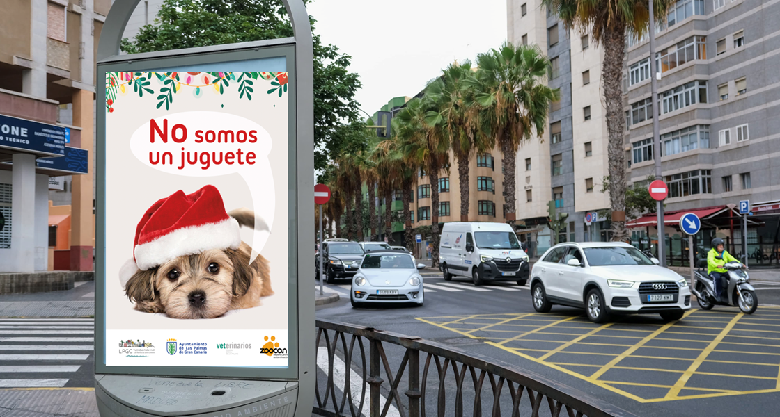 CAMPAÑA DE NAVIDAD "NO SOMOS UN JUGUETE"
