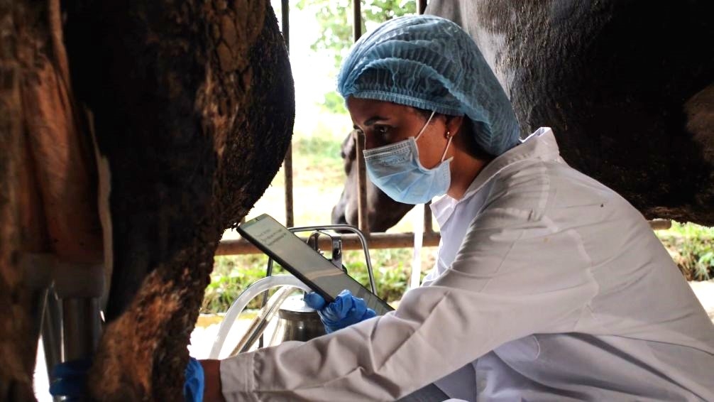 DÍA MUNDIAL DE LA VETERINARIA (25 de abril)