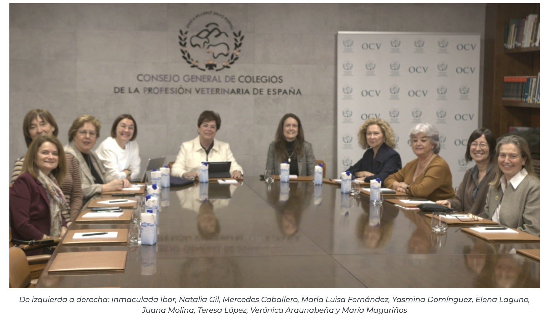 Las presidentas de los colegios provinciales comparten experiencias y animan a participar en responsabilidades institucionales