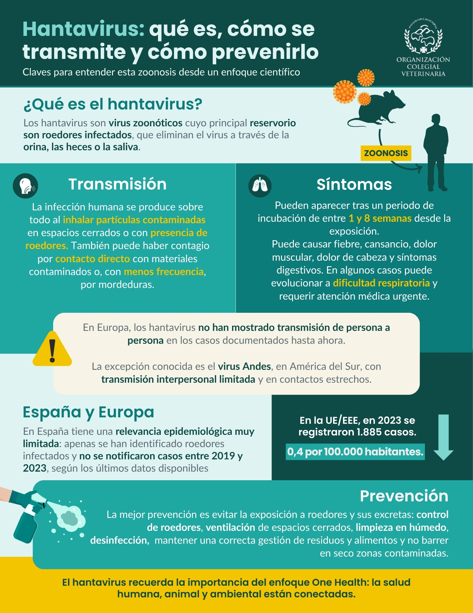 Infografía informativa sobre los hantavirus