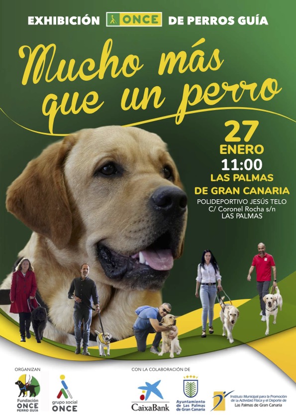 “Mucho más que un Perro”