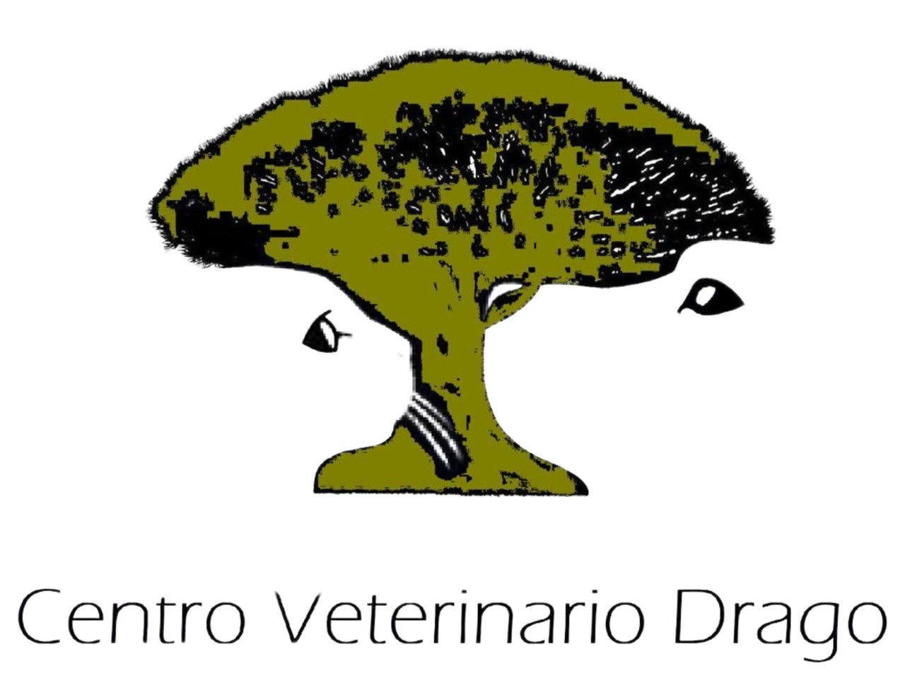 Centro Veterinario Drago