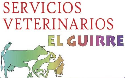 Servicios Veterinarios El Guirre 
