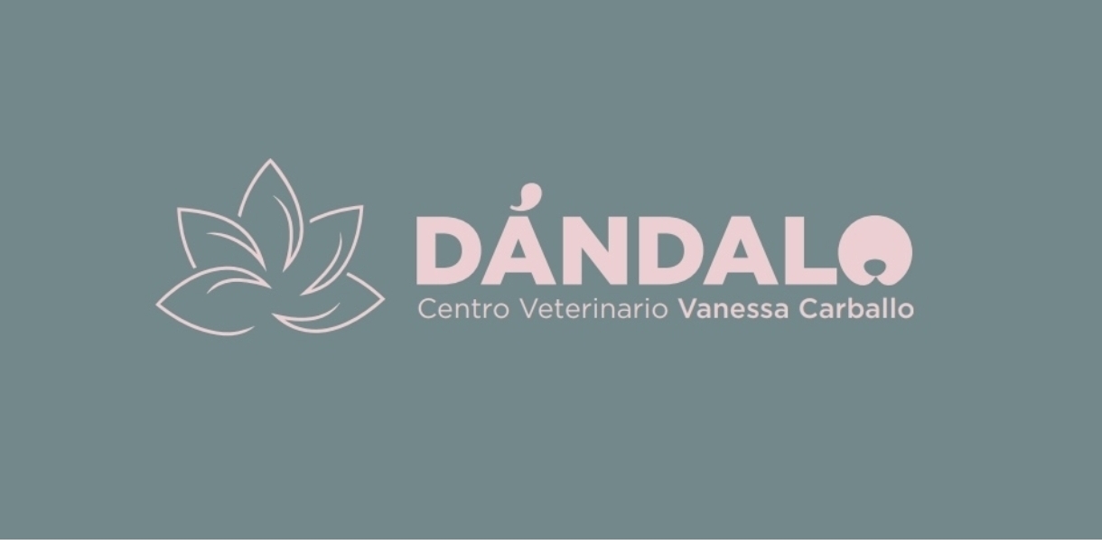 Centro Veterinario Dándalo