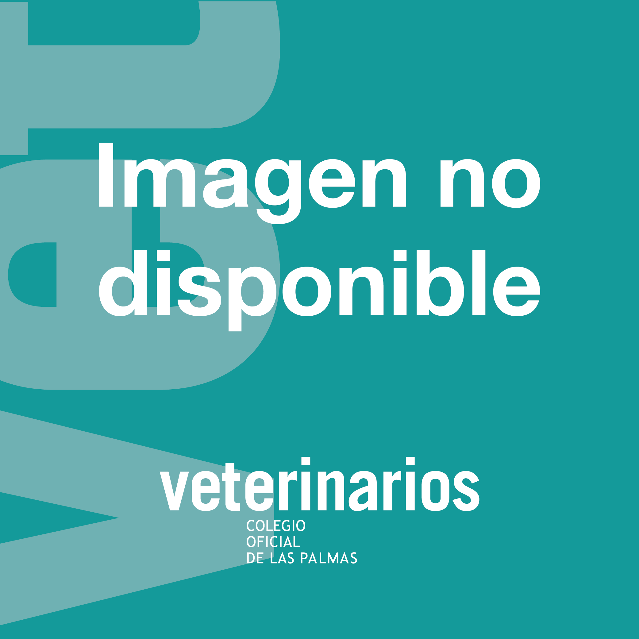 Consulta Veterinaria Picán