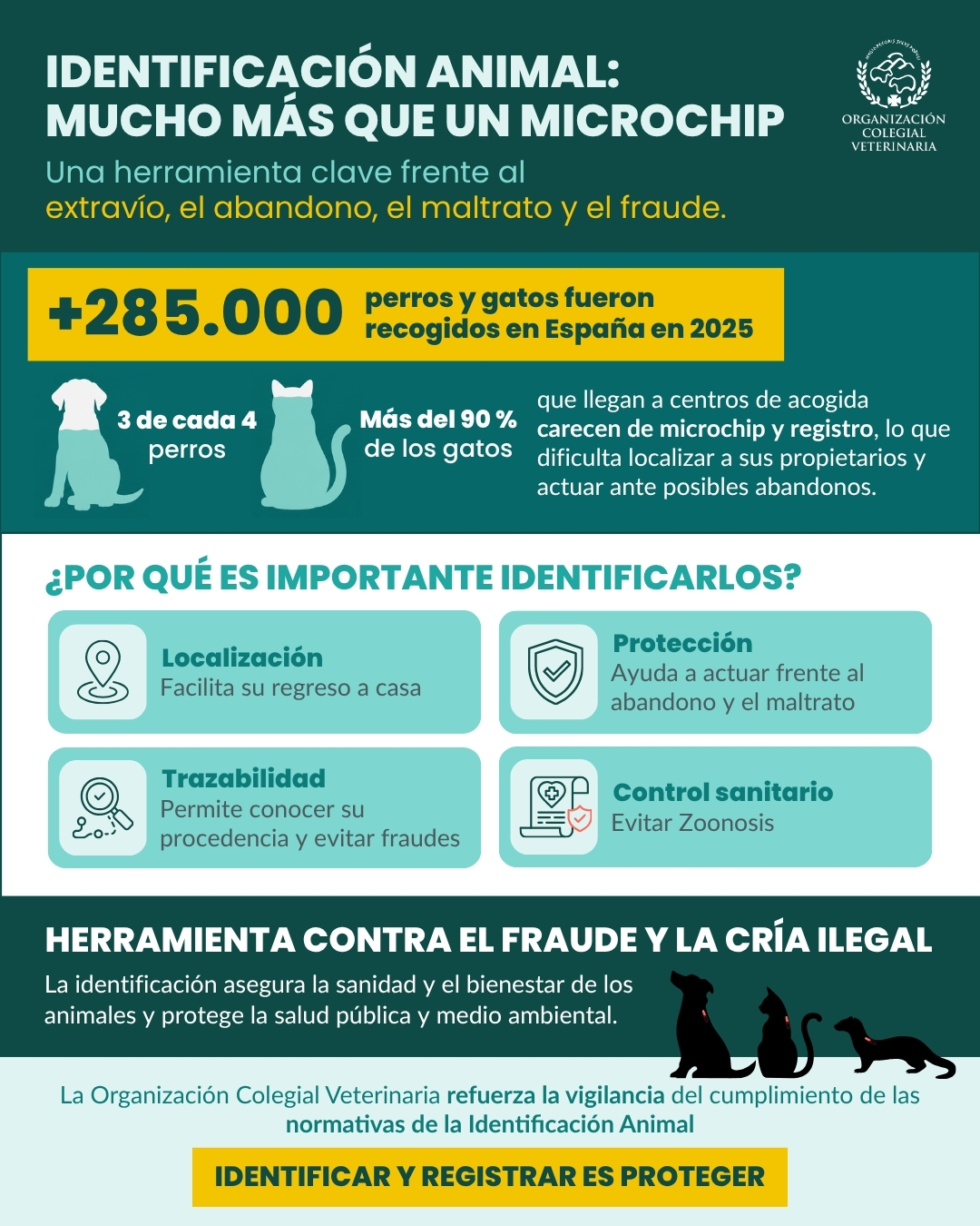 Infografía: IDENTIFICACIÓN ANIMAL: MUCHOS MÁS QUE UN MICROCHIP